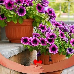 Meet your Posher, Ruth